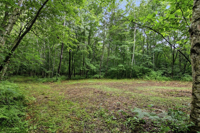 Lot 2 CSM 7522 4th St, Clayton, WI 54004