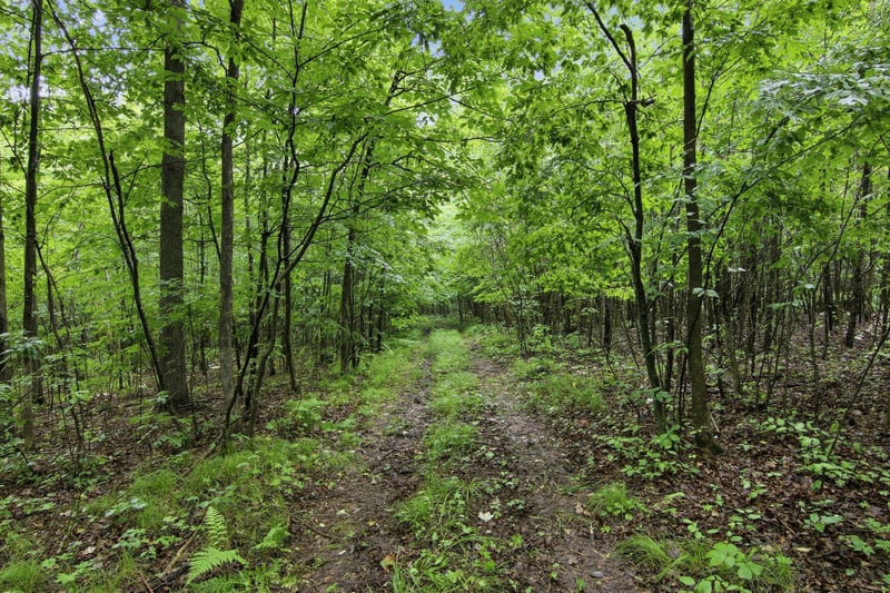 Lot 2 CSM 7522 4th St, Clayton, WI 54004