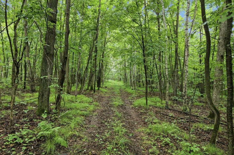Lot 2 CSM 7522 4th St, Clayton, WI 54004