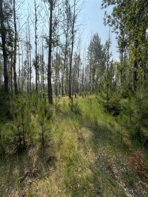 xxx County Rd 26, Verndale, MN 56481