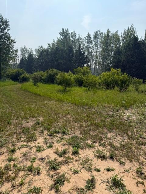 xxx County Rd 26, Verndale, MN 56481