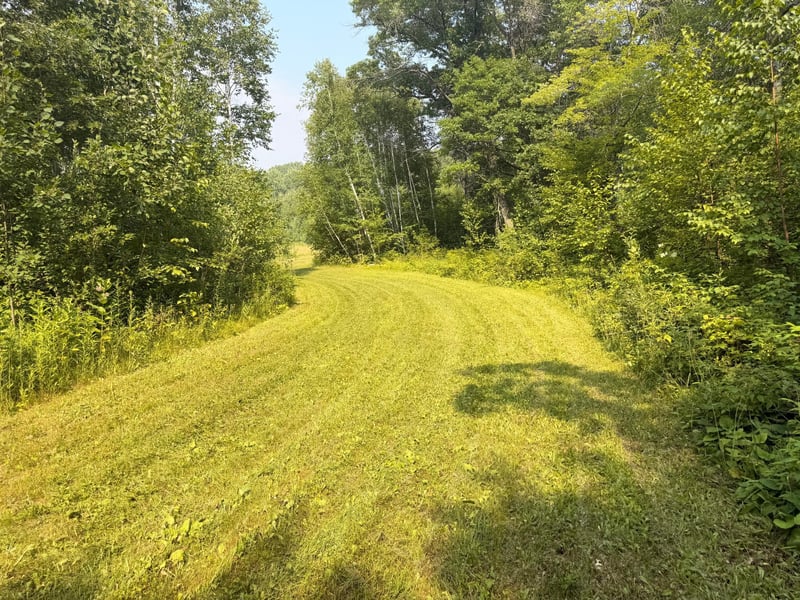 10 Acres Evenson Rd, Pequot Lakes, MN 56472