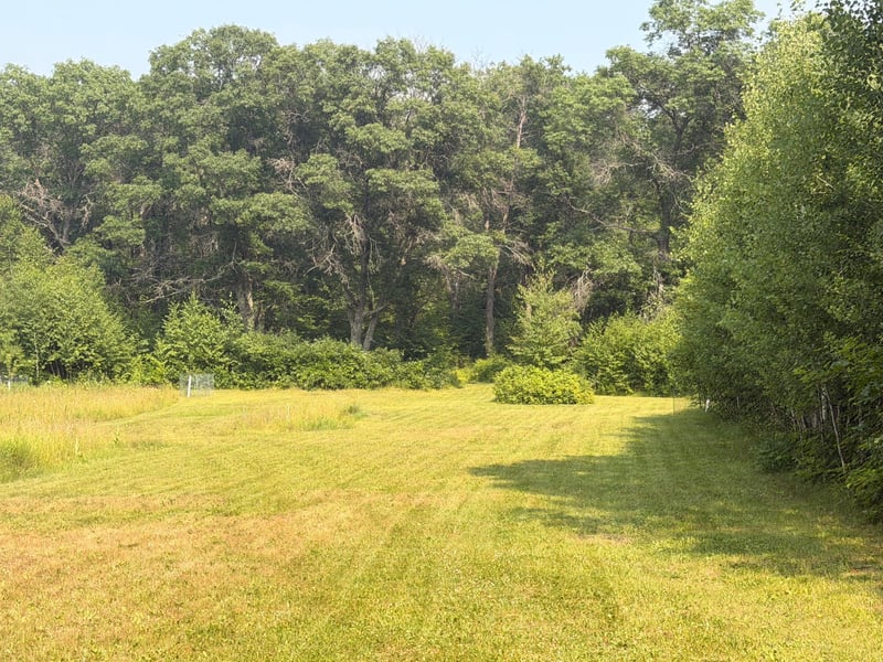 10 Acres Evenson Rd, Pequot Lakes, MN 56472