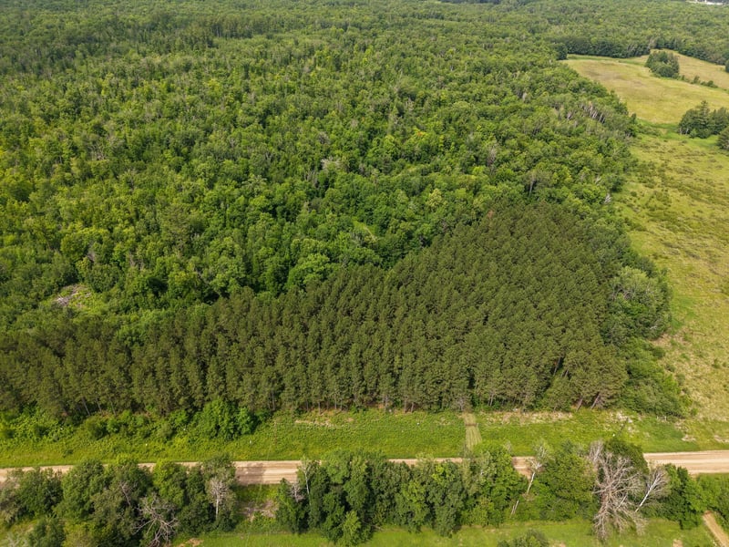 80 Acres Pike Bay Loop Rd NW, Cass Lake, MN 56633