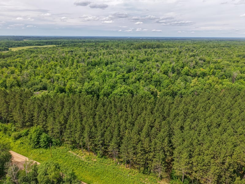 80 Acres Pike Bay Loop Rd NW, Cass Lake, MN 56633