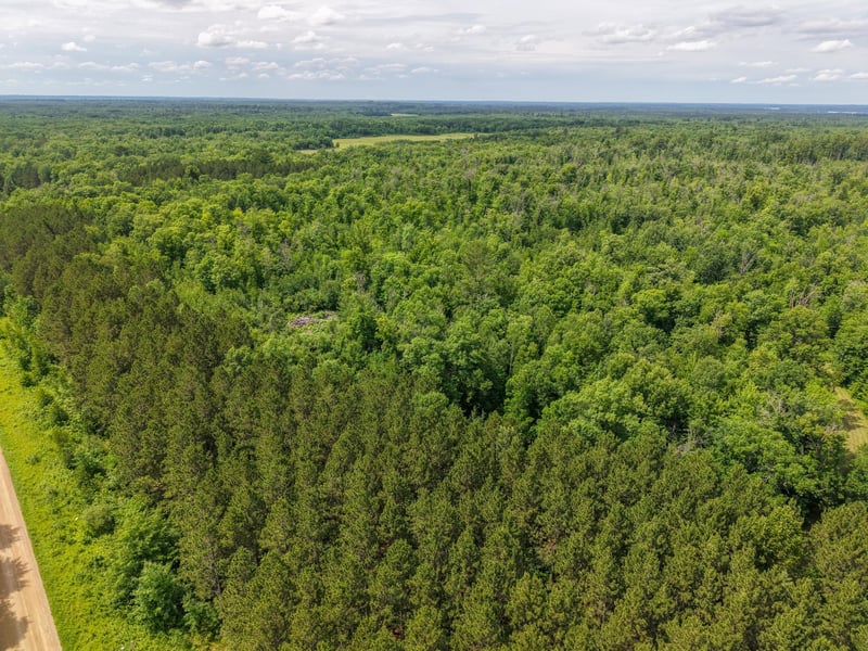 80 Acres Pike Bay Loop Rd NW, Cass Lake, MN 56633