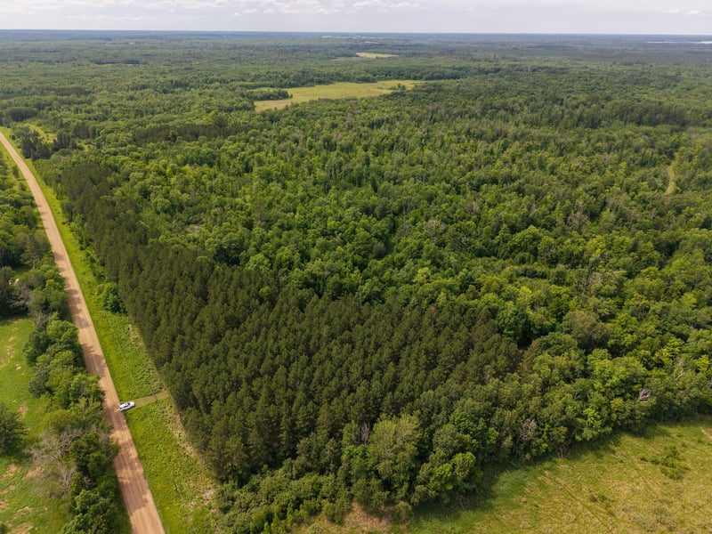 80 Acres Pike Bay Loop Rd NW, Cass Lake, MN 56633