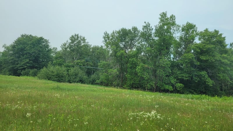 1560 8th St NE, Pine River, MN 56474