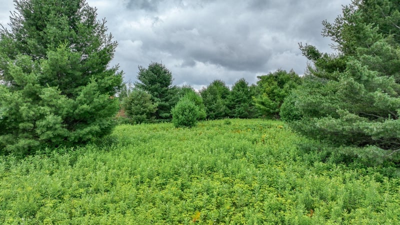 4E Twin Lake Rd, Hayward, WI 54843