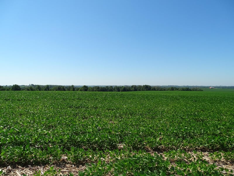 000 170th Ave, Plum City, WI 54761