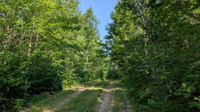 TBD Hwy 24, Orr, MN 55771