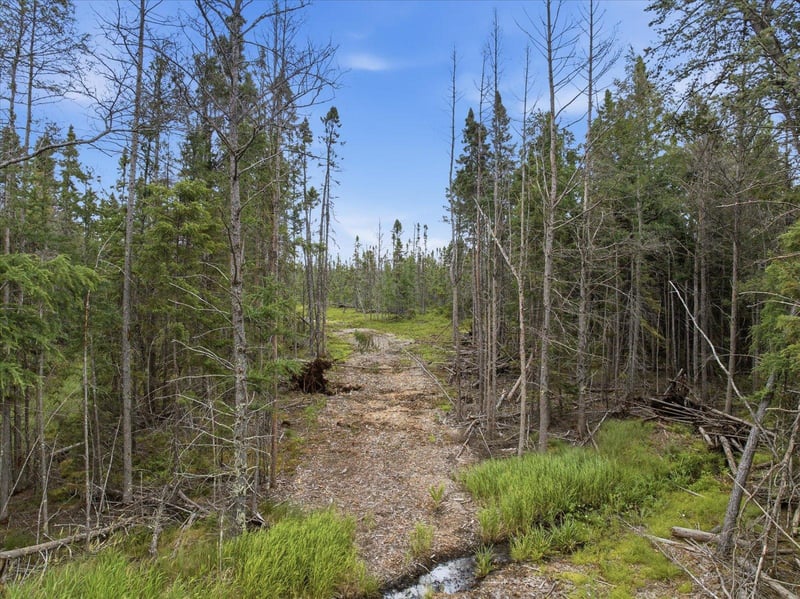 11352 Highway 2, Swan River, MN 55736