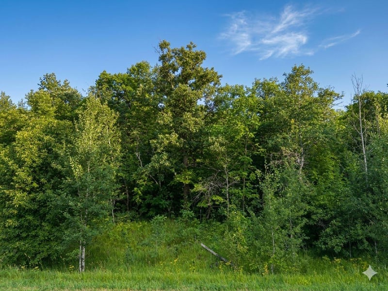 XXX 400th St, Waubun, MN 56589