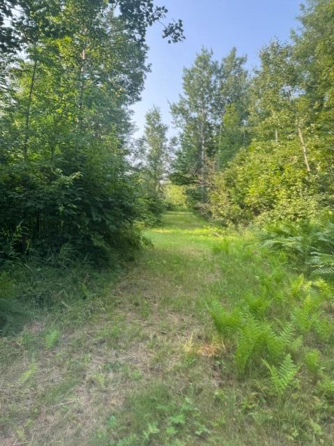 36502 County Road 129, Deer River, MN 56636
