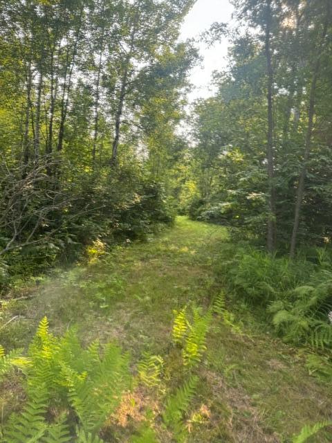 36502 County Road 129, Deer River, MN 56636