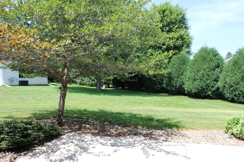 314 5th Cir SW, Blooming Prairie, MN 55917
