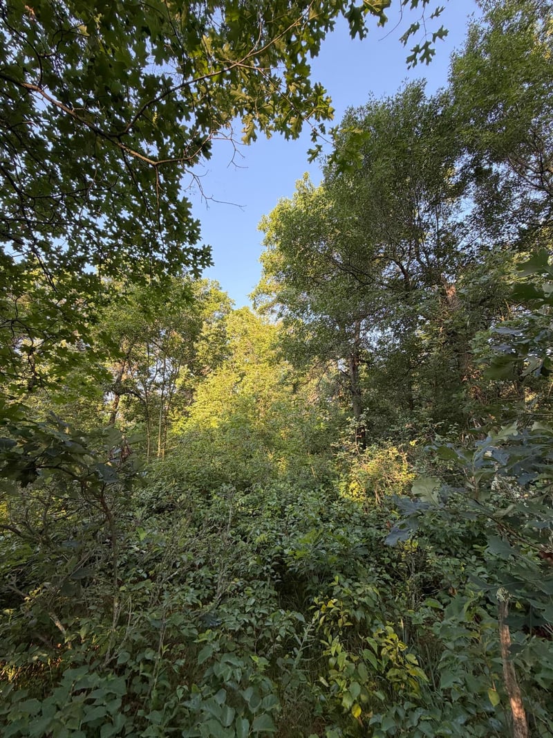 xxxxx Volkmann Ln, Grantsburg, WI 54840