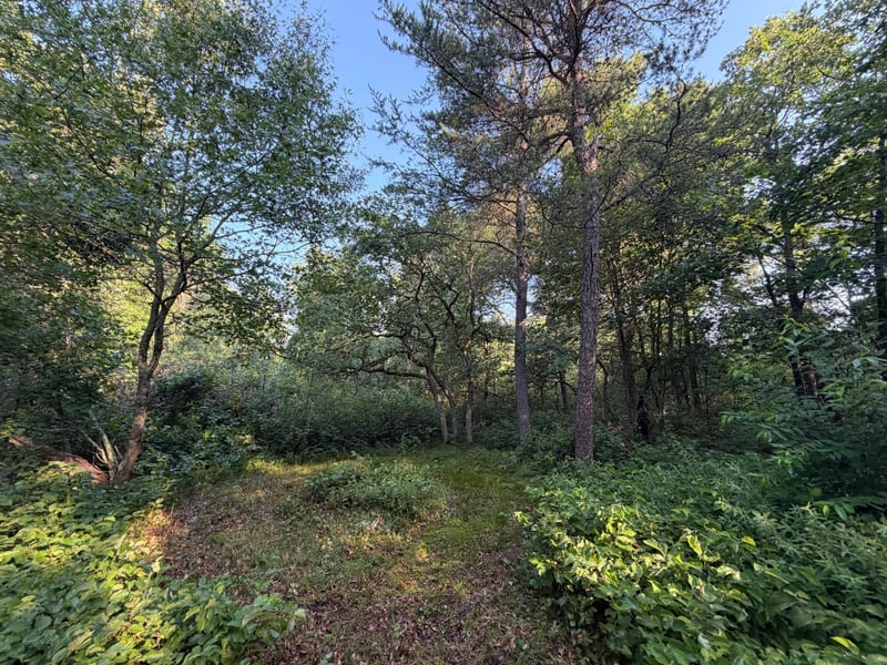 xxxxx Volkmann Ln, Grantsburg, WI 54840
