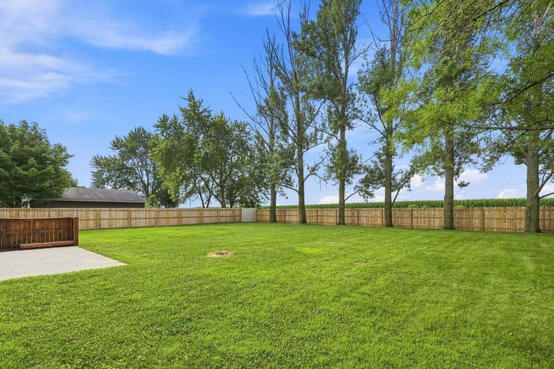 916 Birch Ave W, Hector, MN 55342