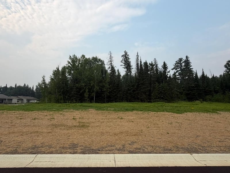 0 Eldien Dr, Cook, MN 55723
