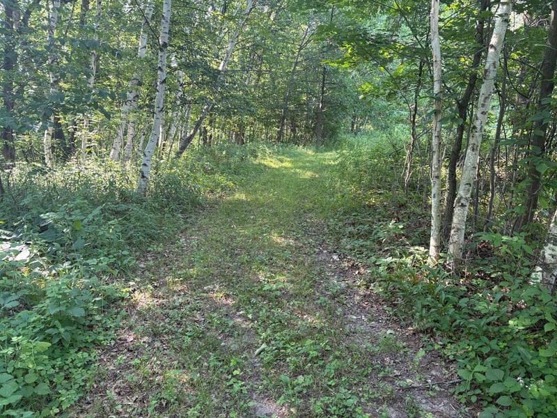 320th 320th St, Browerville, MN 56438
