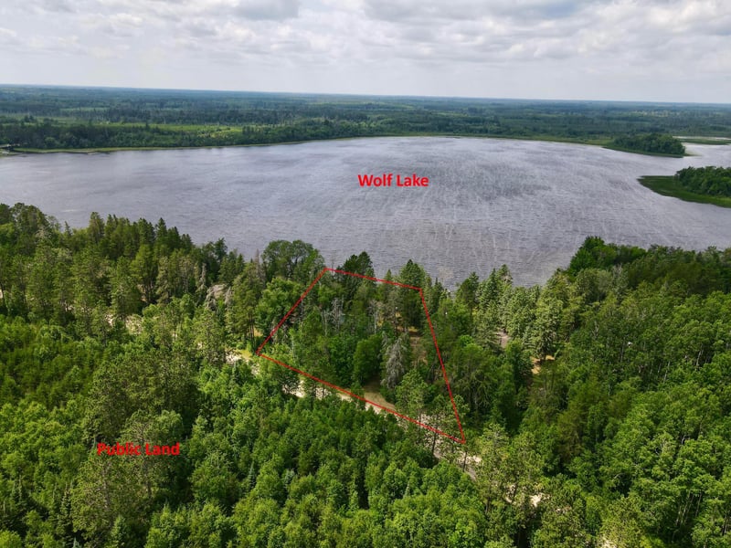 18848 Wolf Lake Trl, Nashwauk, MN 55769
