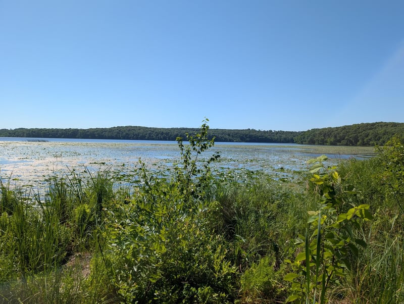 3223 Sebie Lake Rd, Fort Ripley, MN 56449
