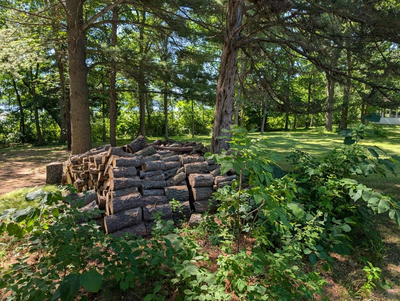 3223 Sebie Lake Rd, Fort Ripley, MN 56449