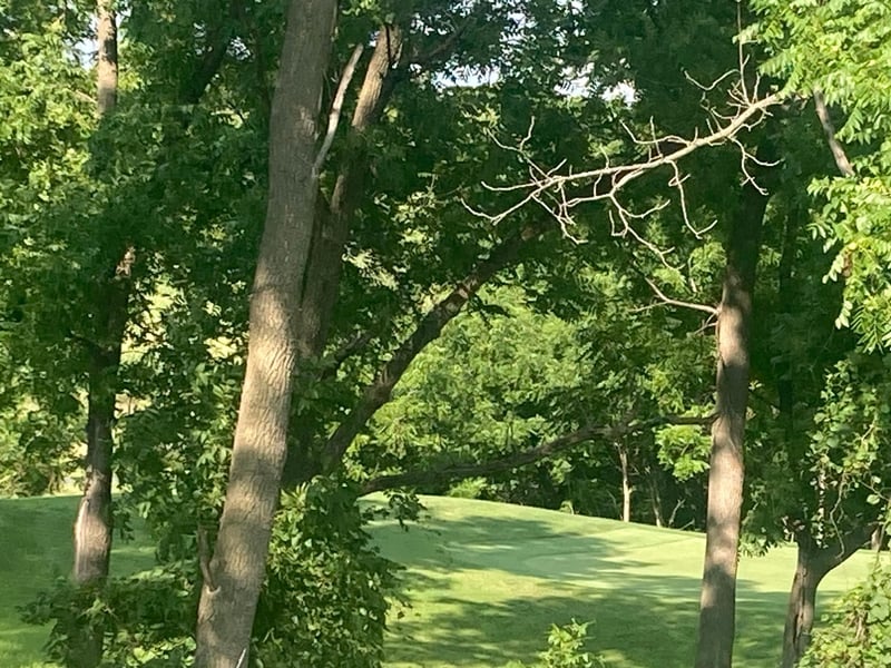 505 Golfview Ave, Zumbrota, MN 55992