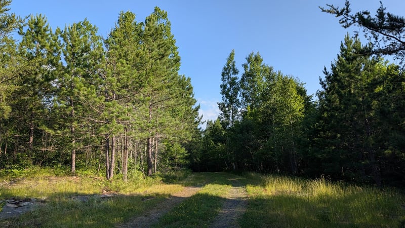 Lot A Hwy 24, Orr, MN 55771