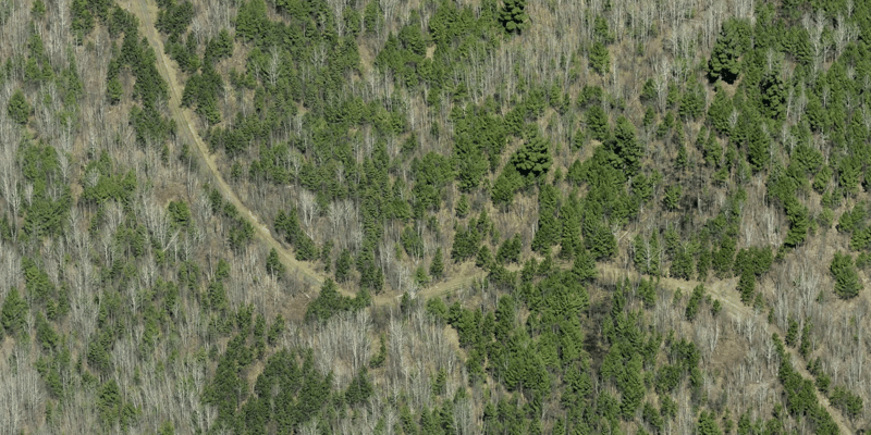 Lot B Hwy 24, Orr, MN 55771