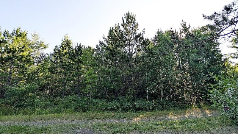 Lot B Hwy 24, Orr, MN 55771