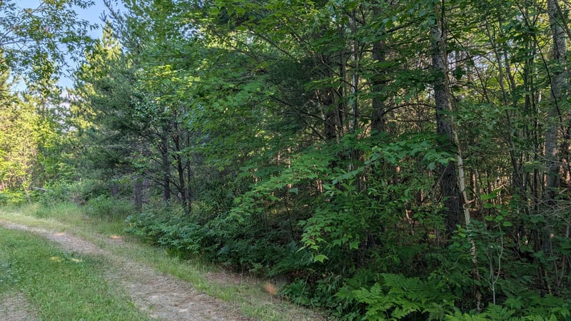 Lot B Hwy 24, Orr, MN 55771