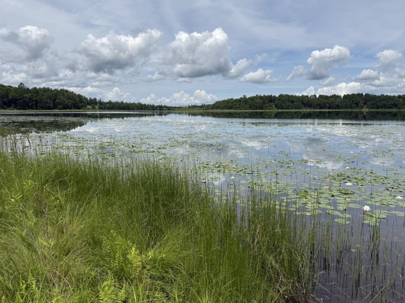 1702 Kerr Lake Dr NW, Hackensack, MN 56452