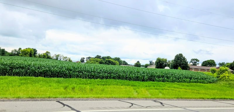 398 E Pike St, Osakis, MN 56360