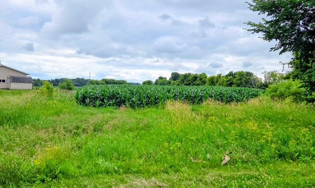 398 E Pike St, Osakis, MN 56360