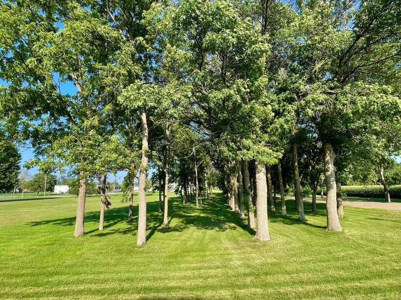 TBD Center St, Clements, MN 56224