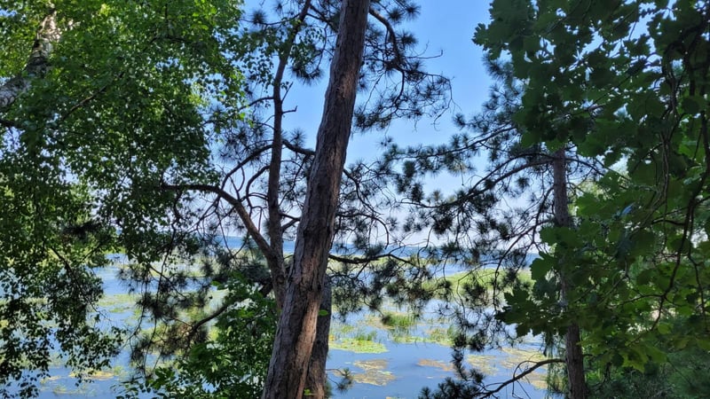 36803 Pine Knolls Cir, Pine River, MN 56474