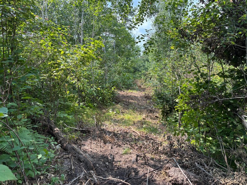 TBD Woodland Hills Dr SE, Bemidji, MN 56601