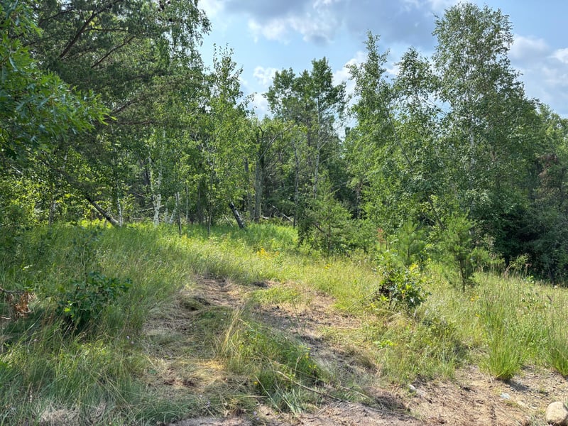 TBD Woodland Hills Dr SE, Bemidji, MN 56601