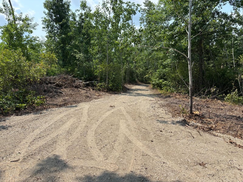 TBD Woodland Hills Dr SE, Bemidji, MN 56601