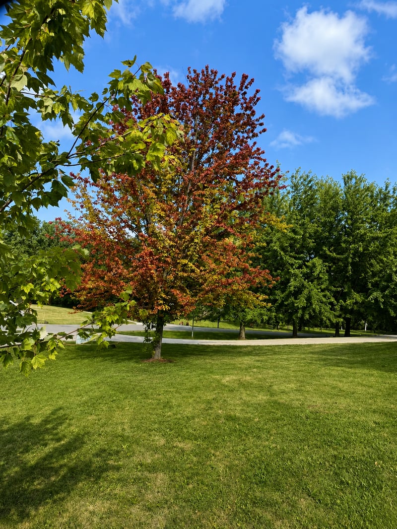 2208 Darling Ave E, Alexandria, MN 56308