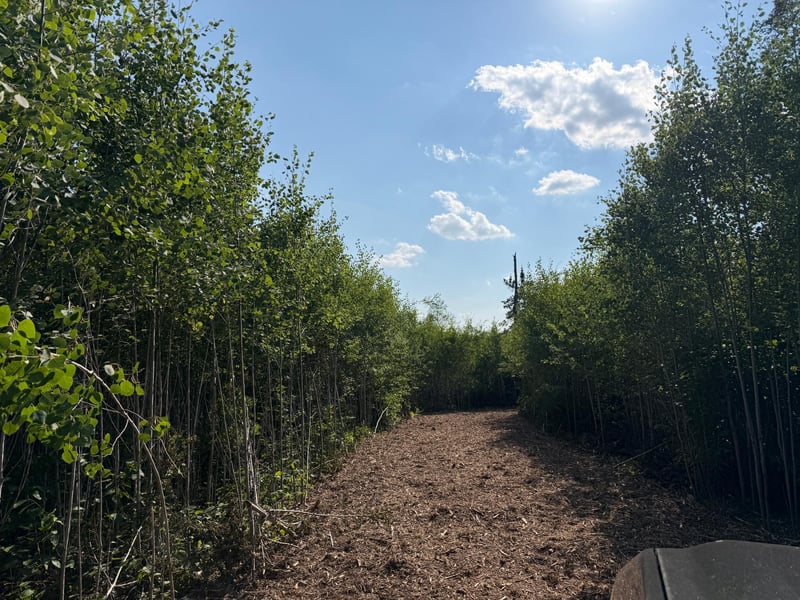 48043 Deerfield Rd, Kerrick, MN 55756