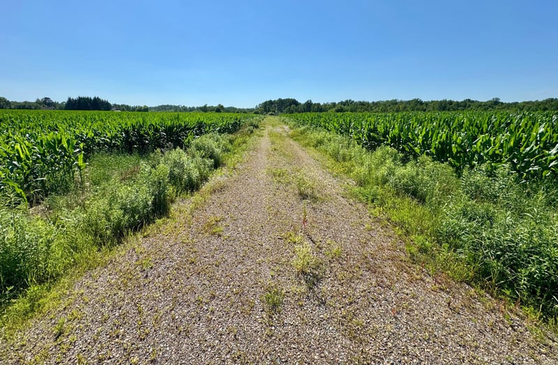 17891 90th Ave, Milaca, MN 56353