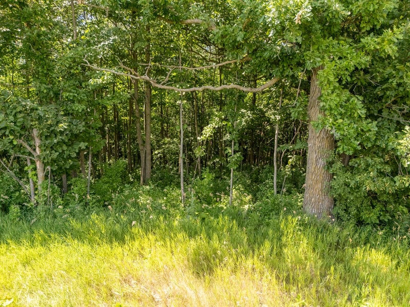 TBD XXX County Road 3, Eagle Bend, MN 56446