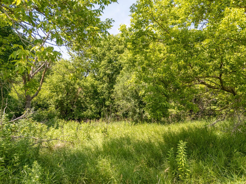 TBD XXX County Road 3, Eagle Bend, MN 56446