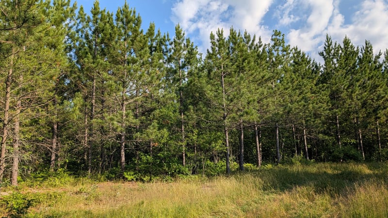 Lot C Hwy 24, Orr, MN 55771