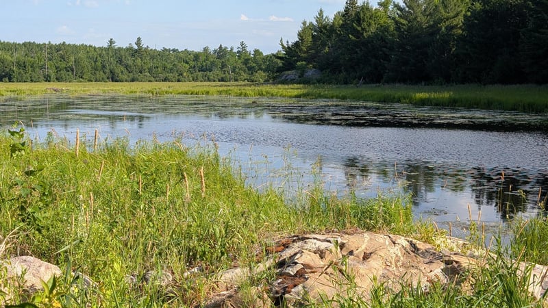 Lot C Hwy 24, Orr, MN 55771