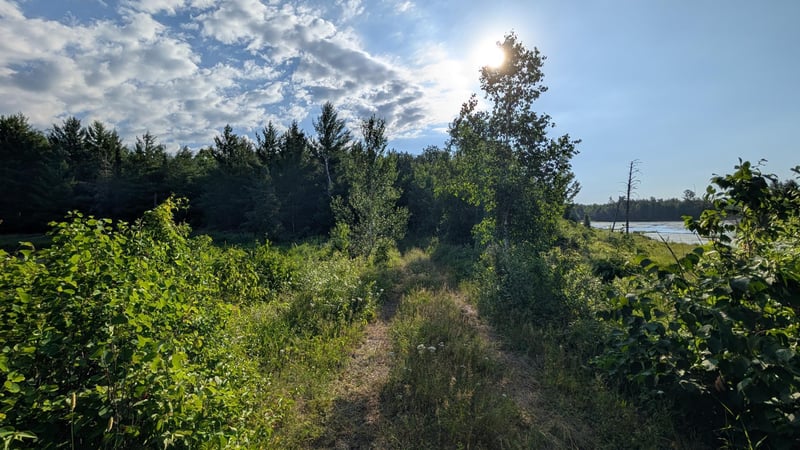 Lot C Hwy 24, Orr, MN 55771
