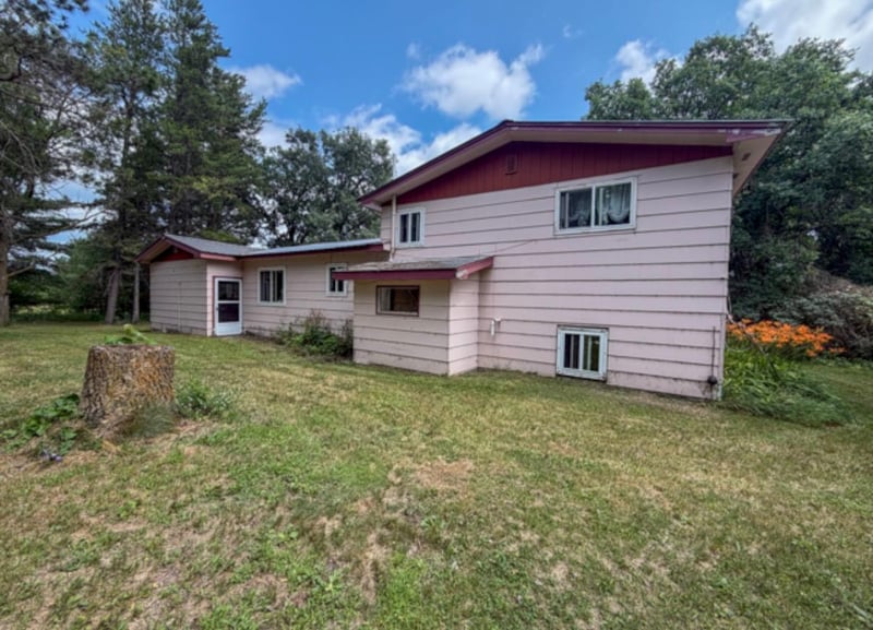 42869 County 2, Leonard, MN 56652